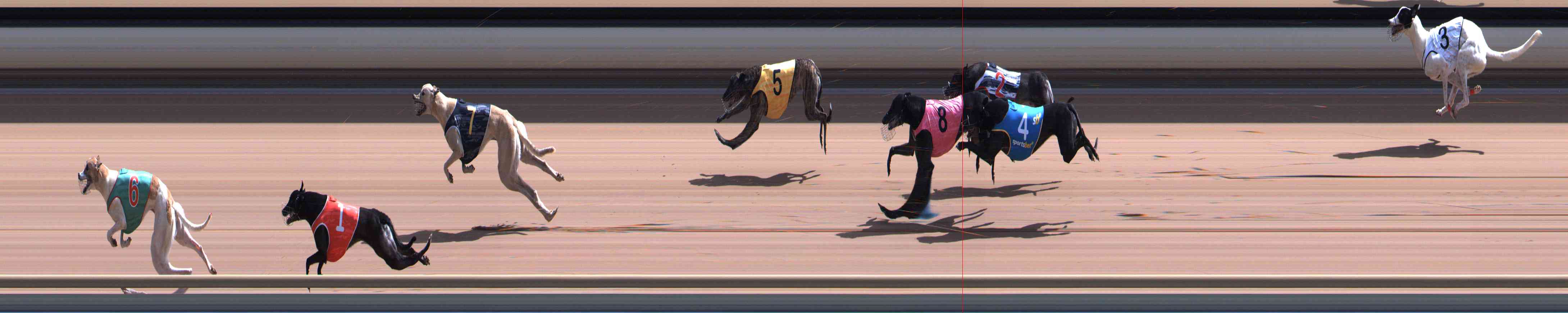 Photo finish for Healesville Race 7