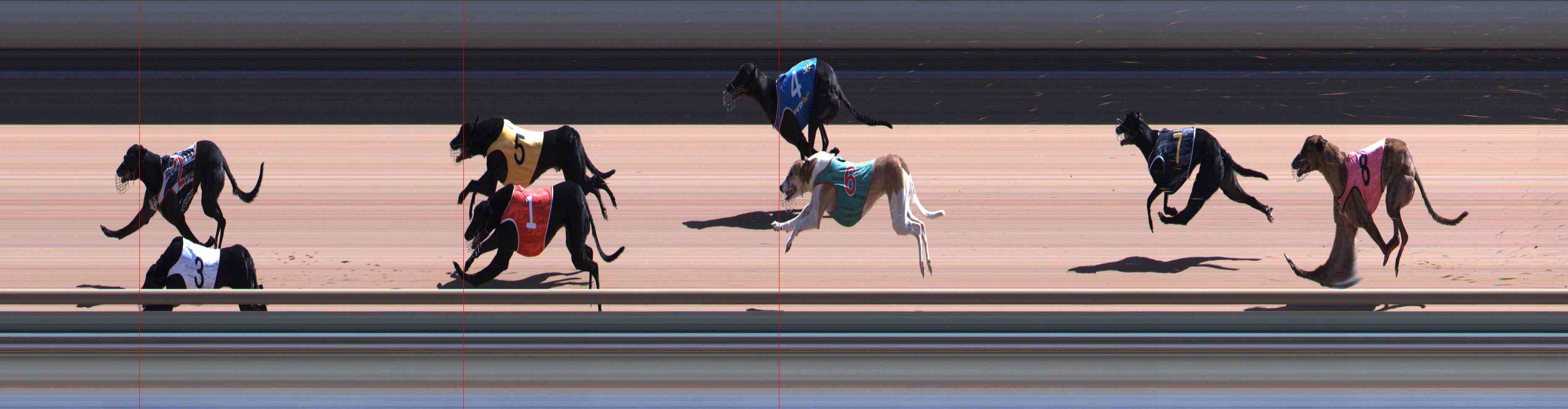 Photo finish for Healesville Race 8