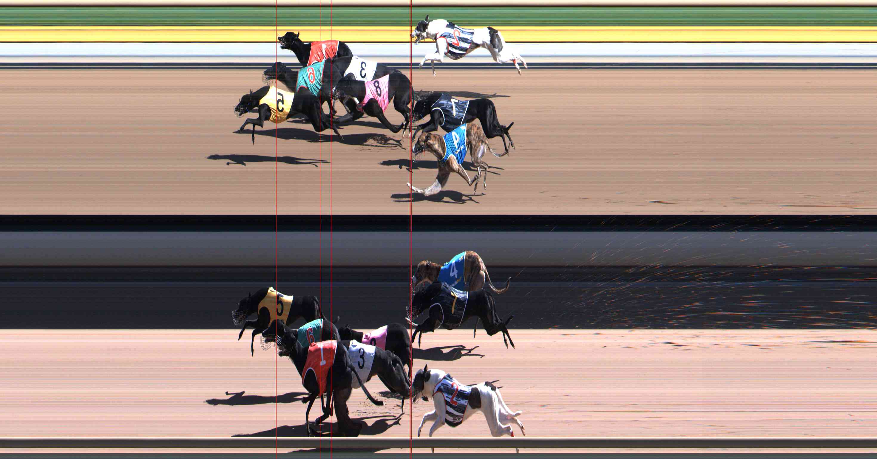 Photo finish for Healesville Race 9