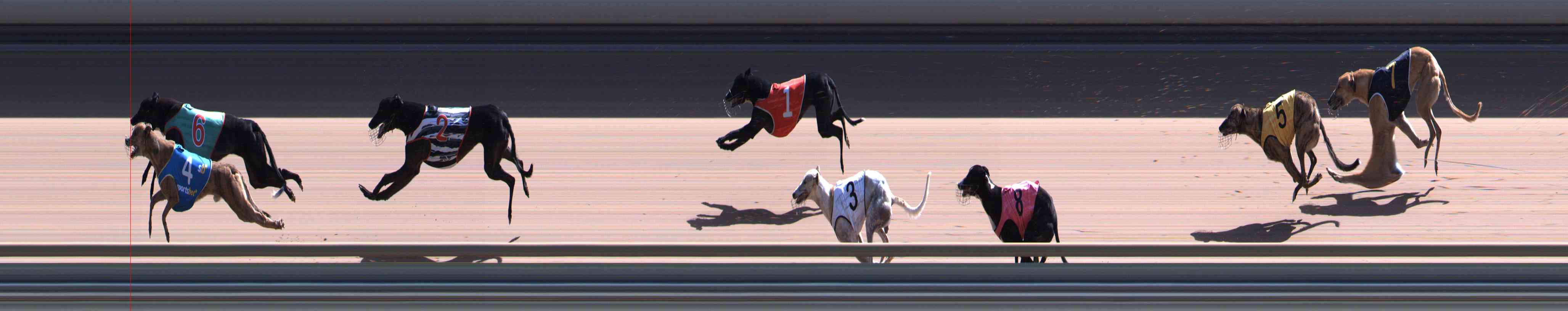 Photo finish for Healesville Race 10