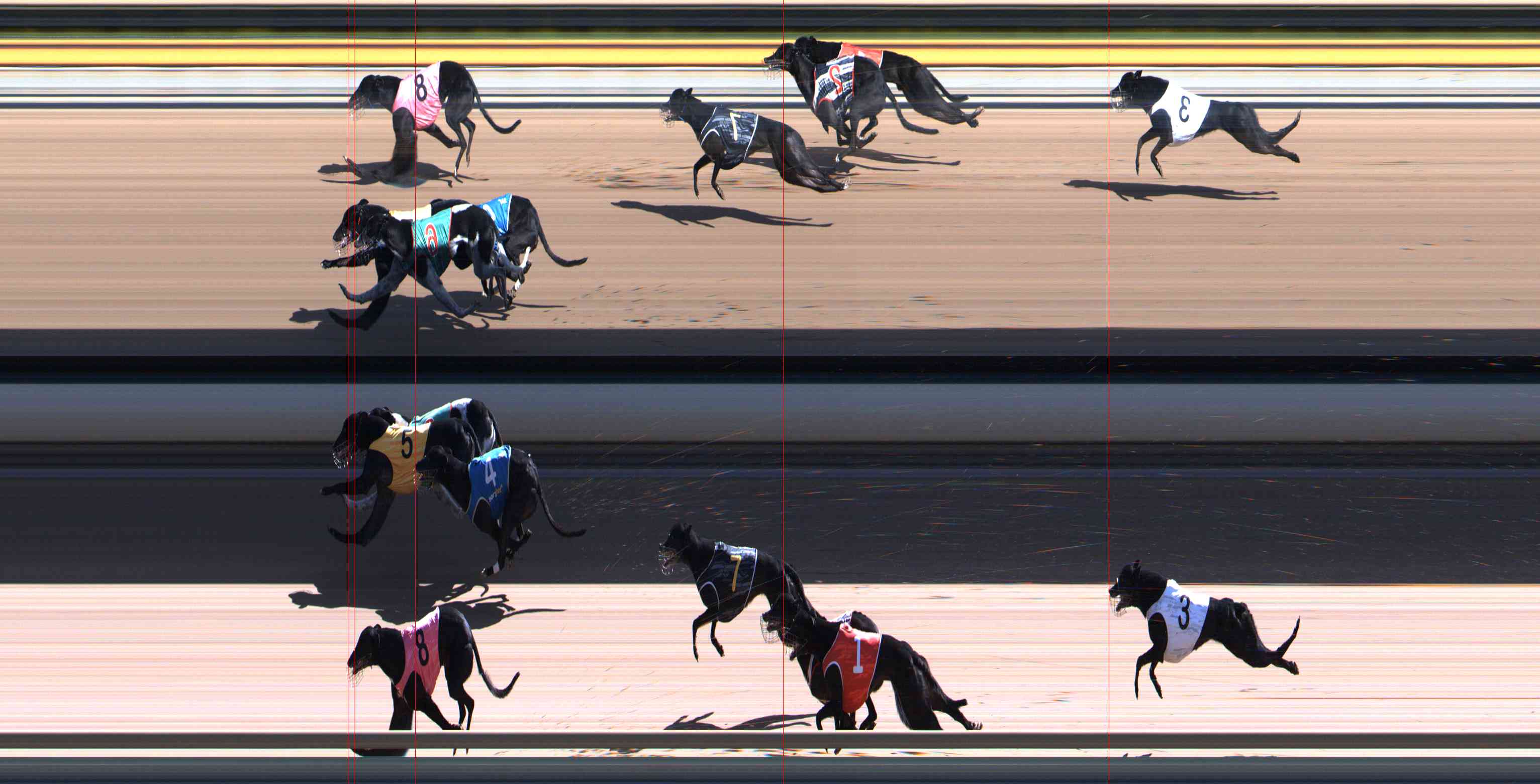 Photo finish for Healesville Race 11