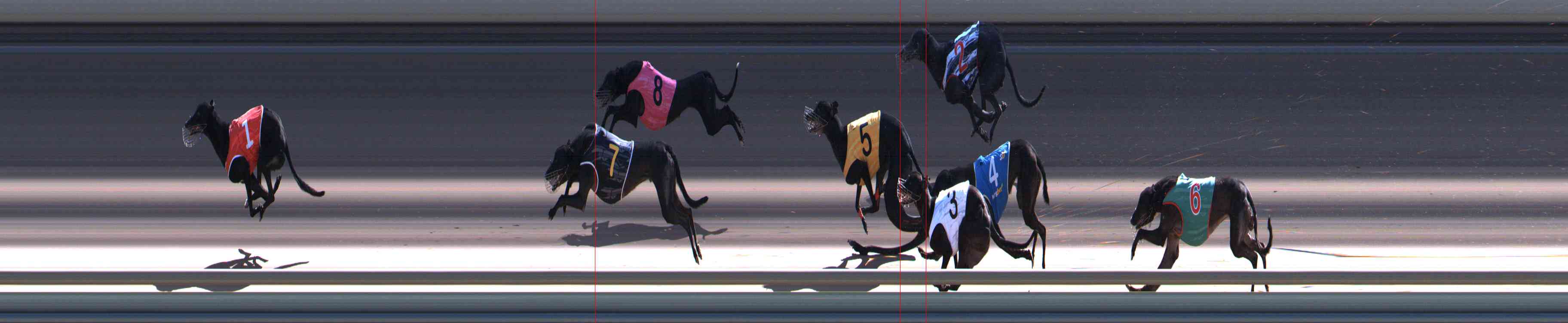 Photo finish for Healesville Race 12