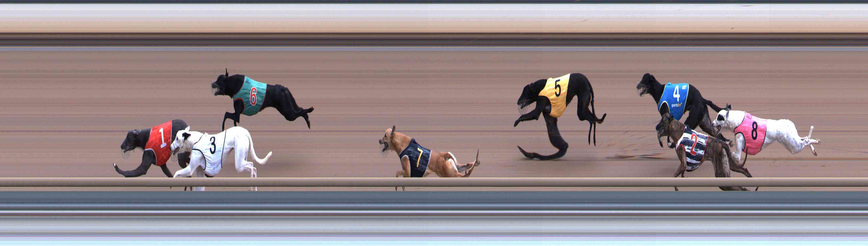 Photo finish for Healesville Race 1