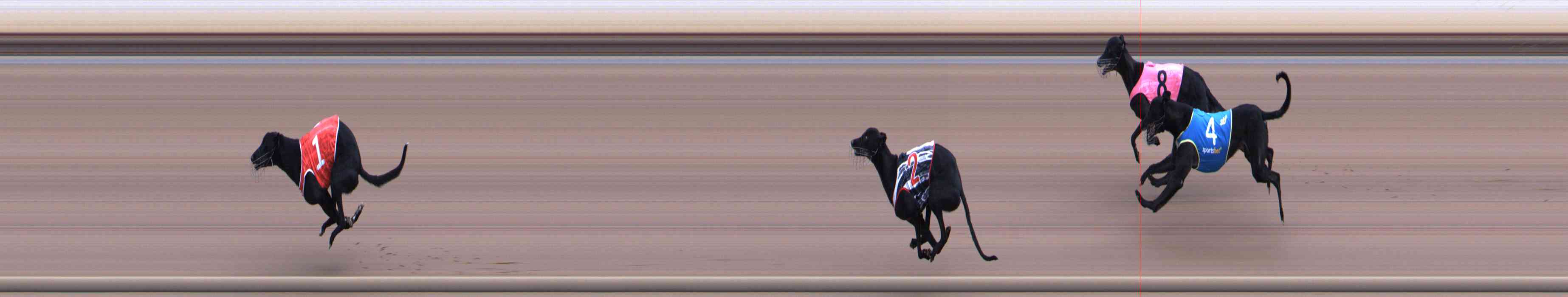 Photo finish for Healesville Race 2