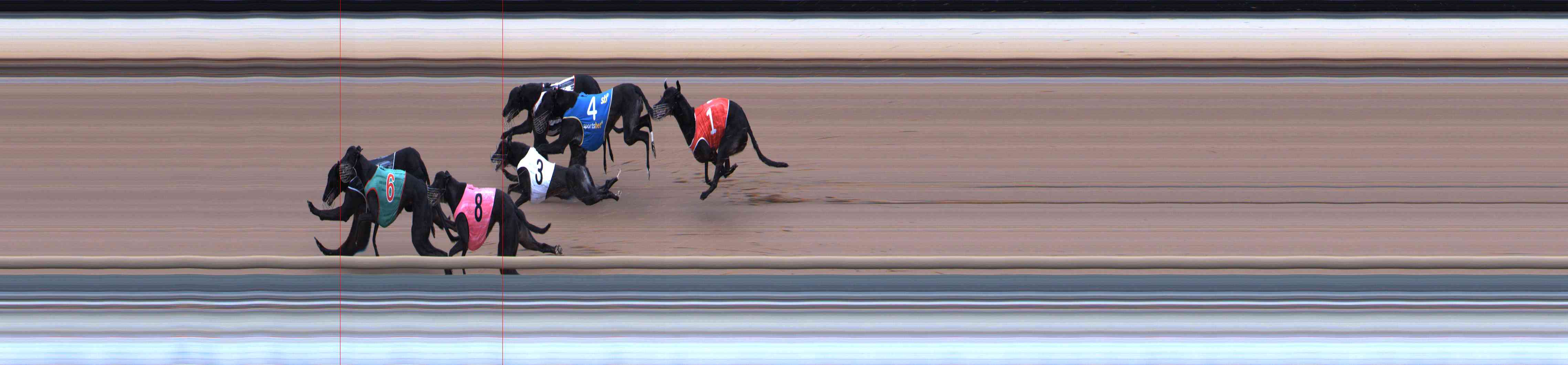 Photo finish for Healesville Race 5