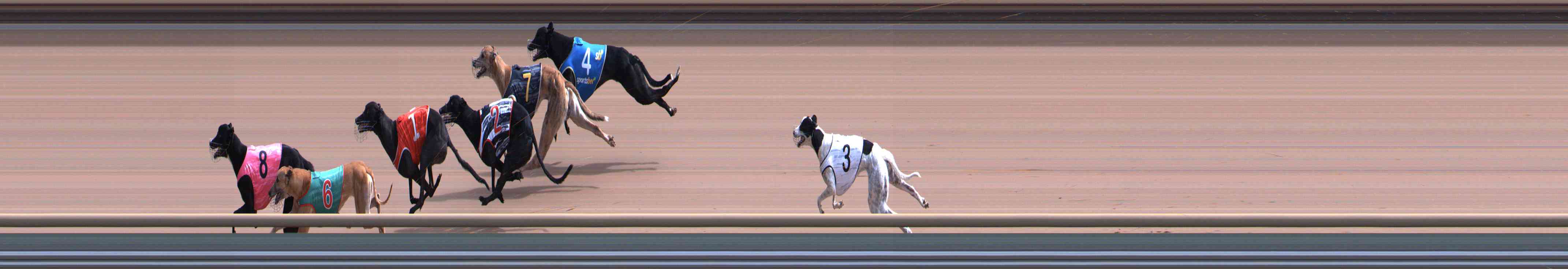 Photo finish for Healesville Race 6
