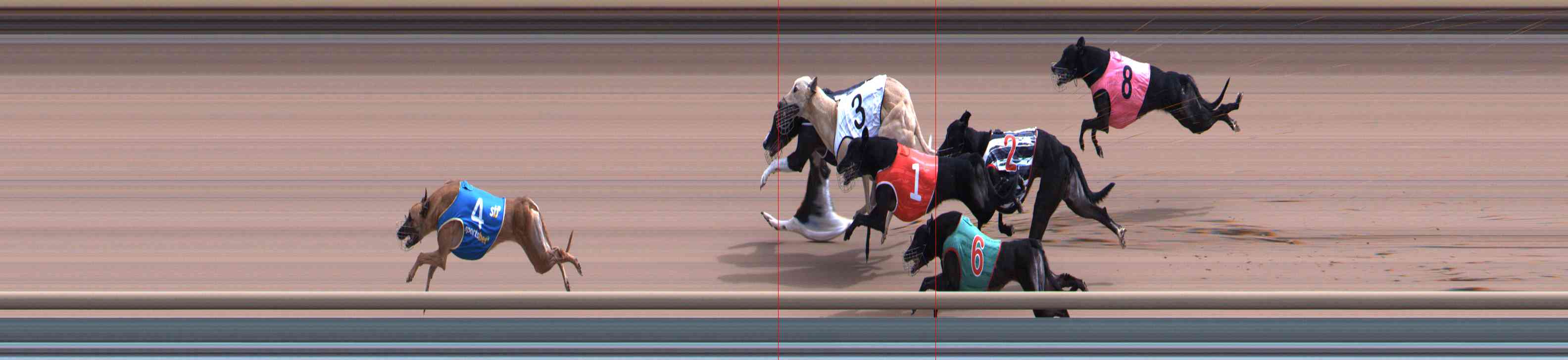 Photo finish for Healesville Race 7