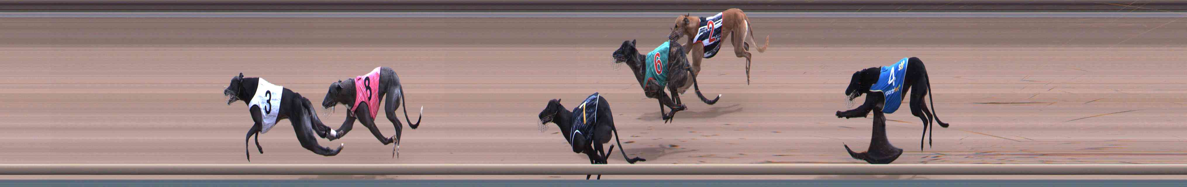 Photo finish for Healesville Race 8