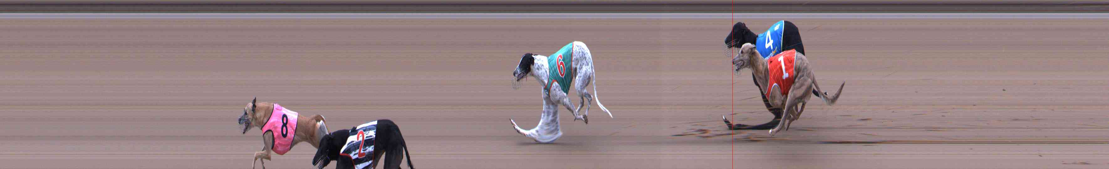 Photo finish for Healesville Race 9