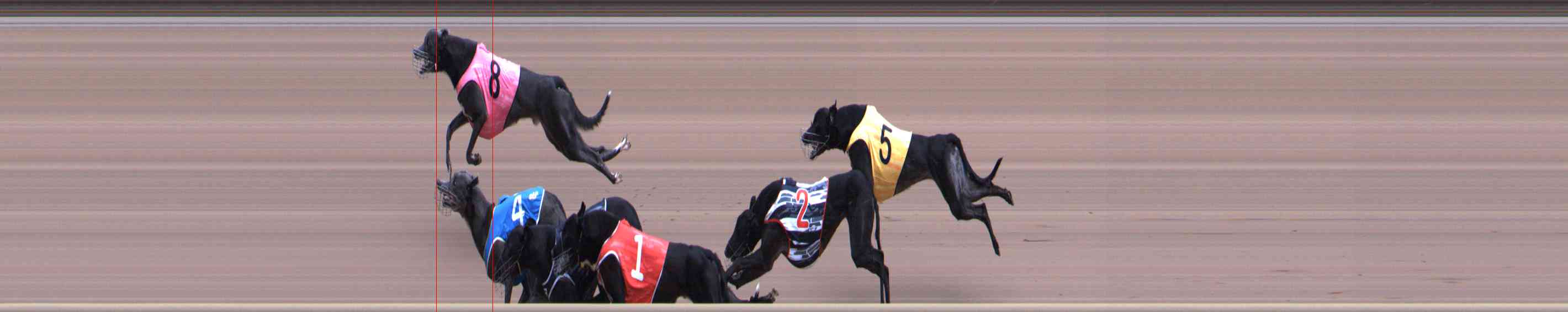 Photo finish for Healesville Race 10