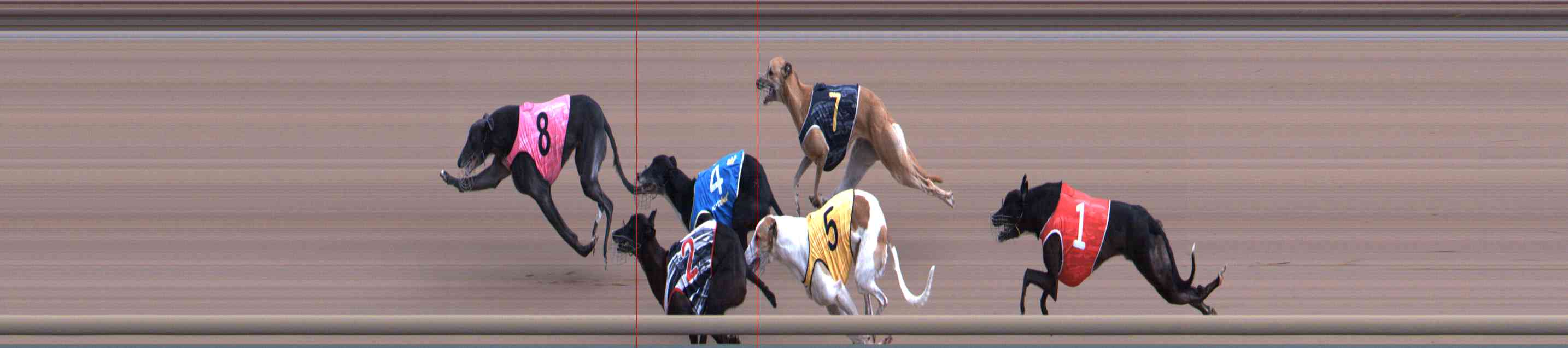 Photo finish for Healesville Race 12