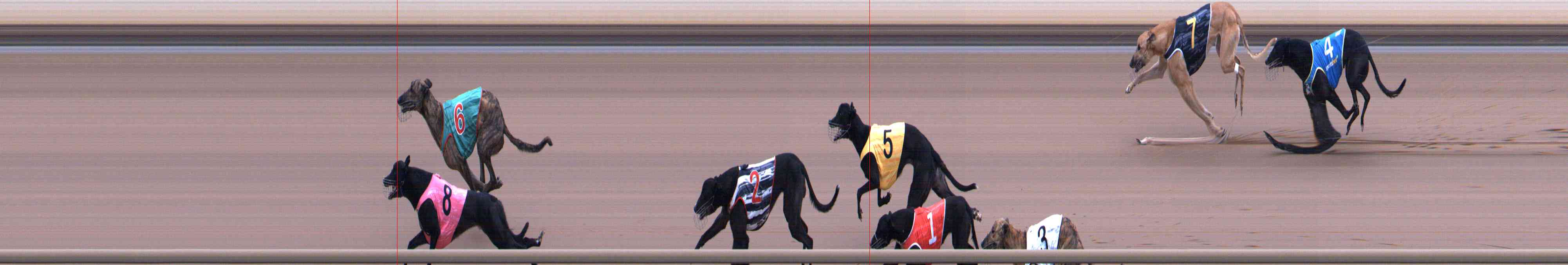 Photo finish for Healesville Race 1