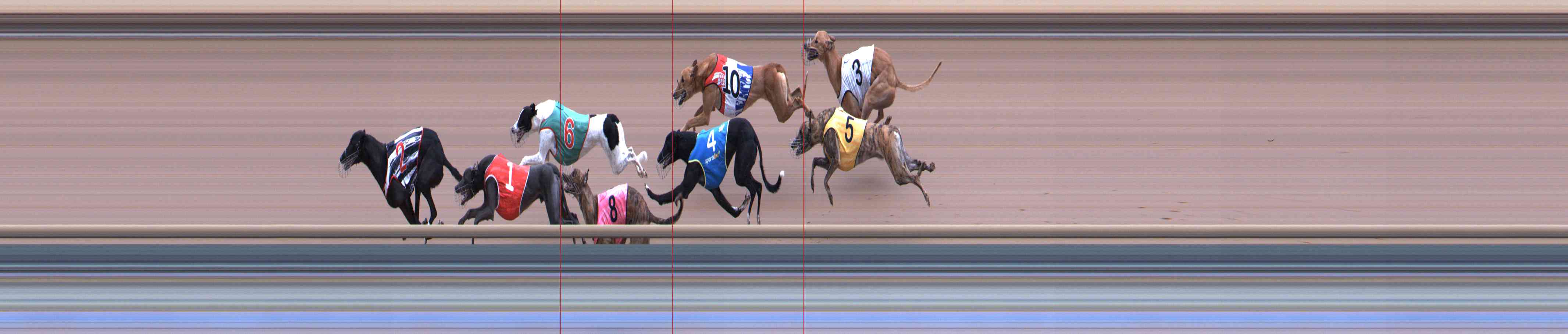 Photo finish for Healesville Race 2