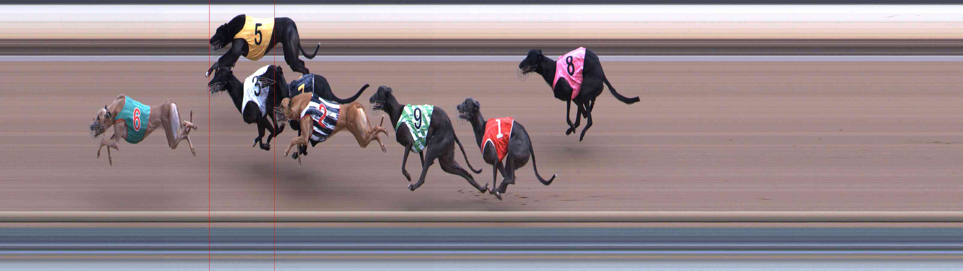Photo finish for Healesville Race 3