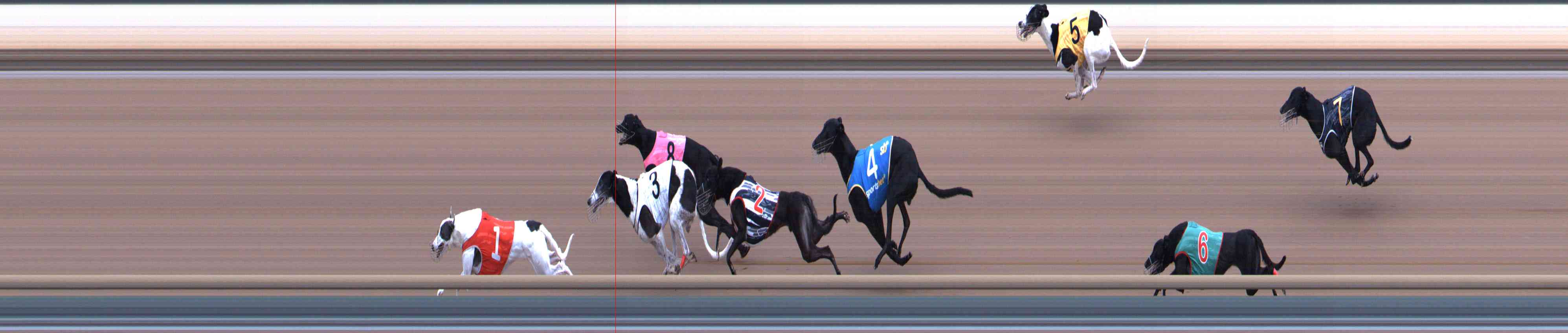 Photo finish for Healesville Race 4