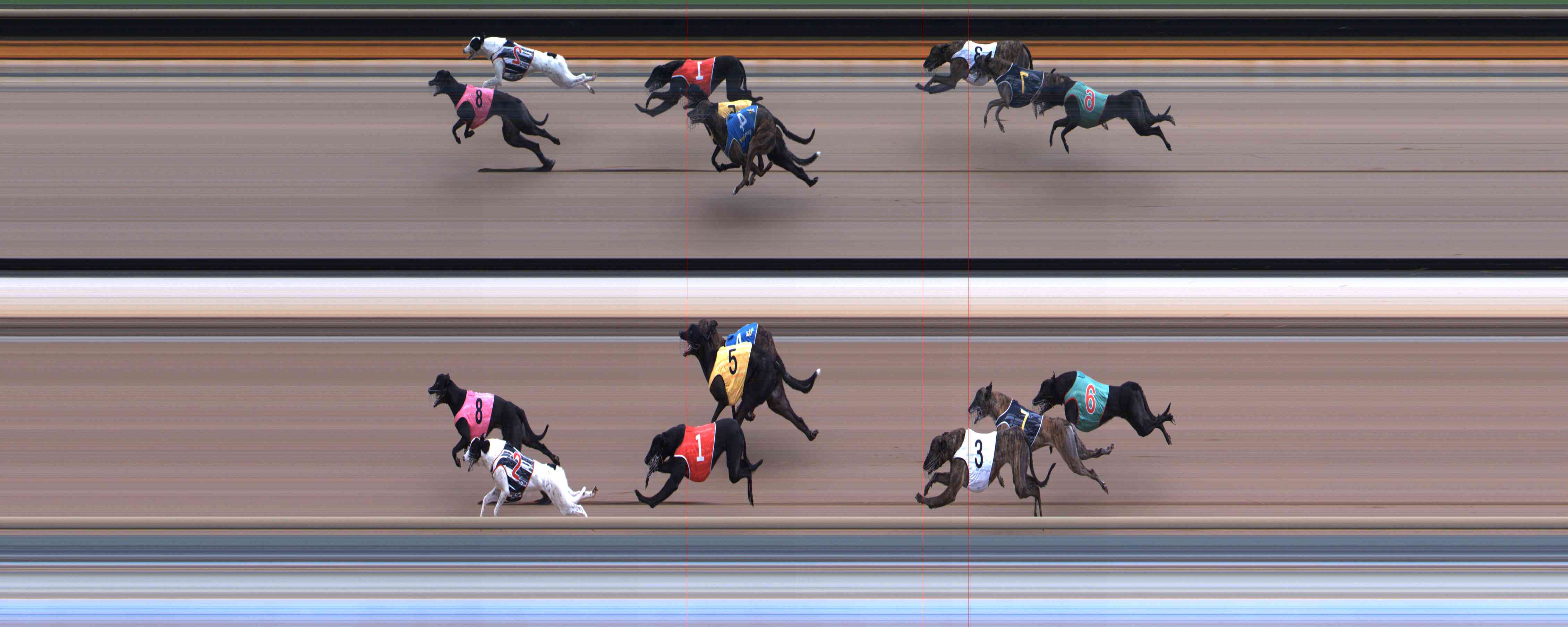 Photo finish for Healesville Race 5