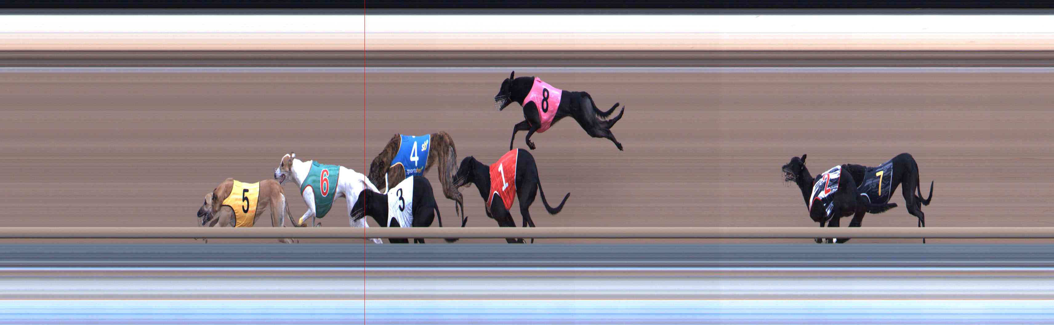 Photo finish for Healesville Race 6