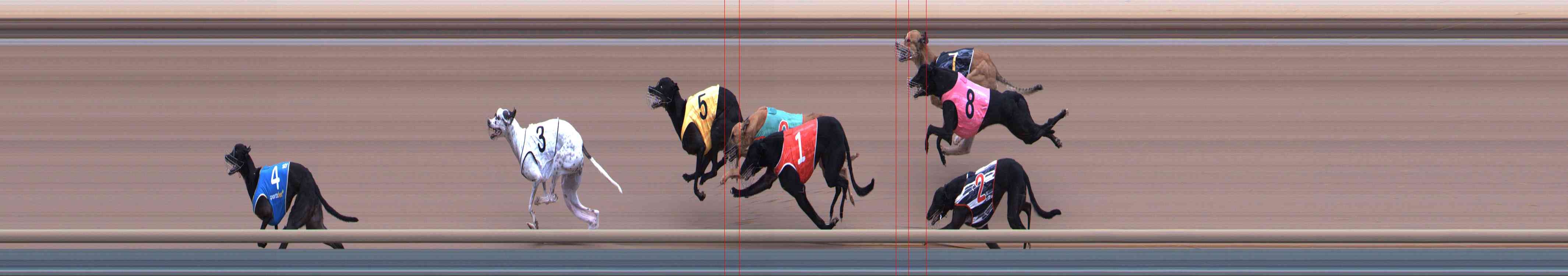 Photo finish for Healesville Race 7