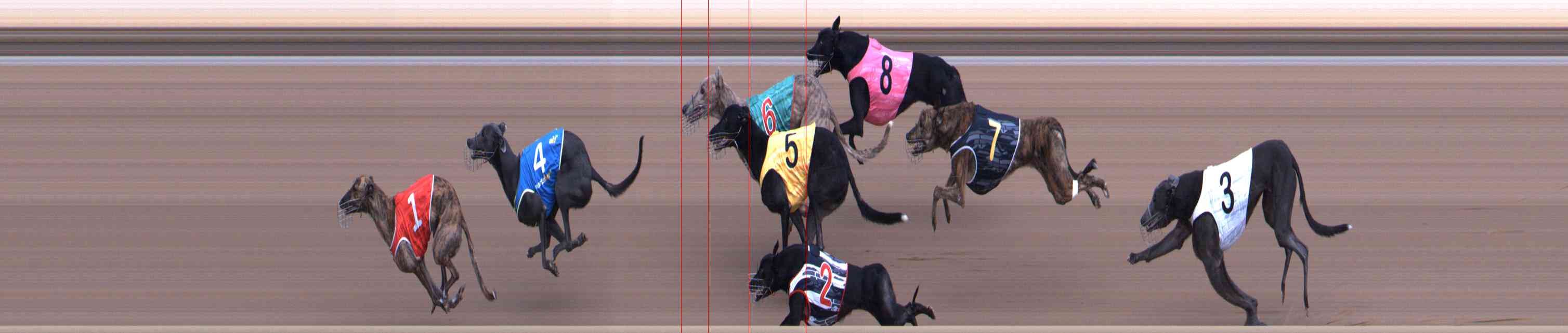 Photo finish for Healesville Race 9