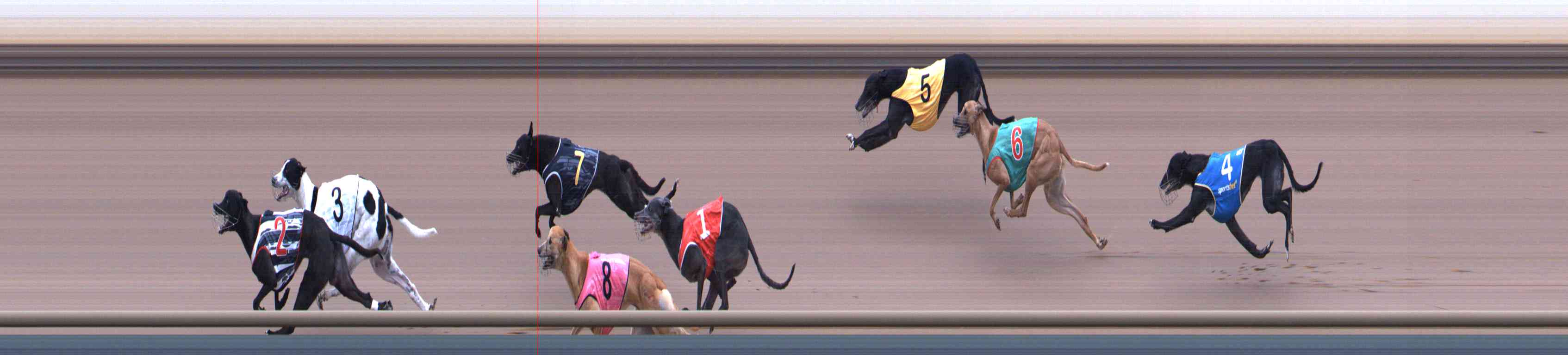 Photo finish for Healesville Race 10