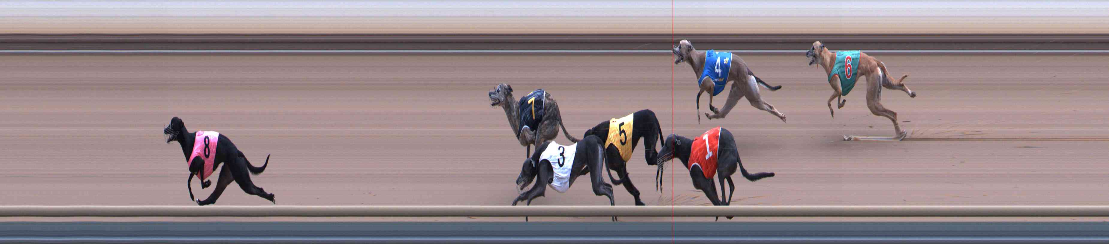 Photo finish for Healesville Race 11