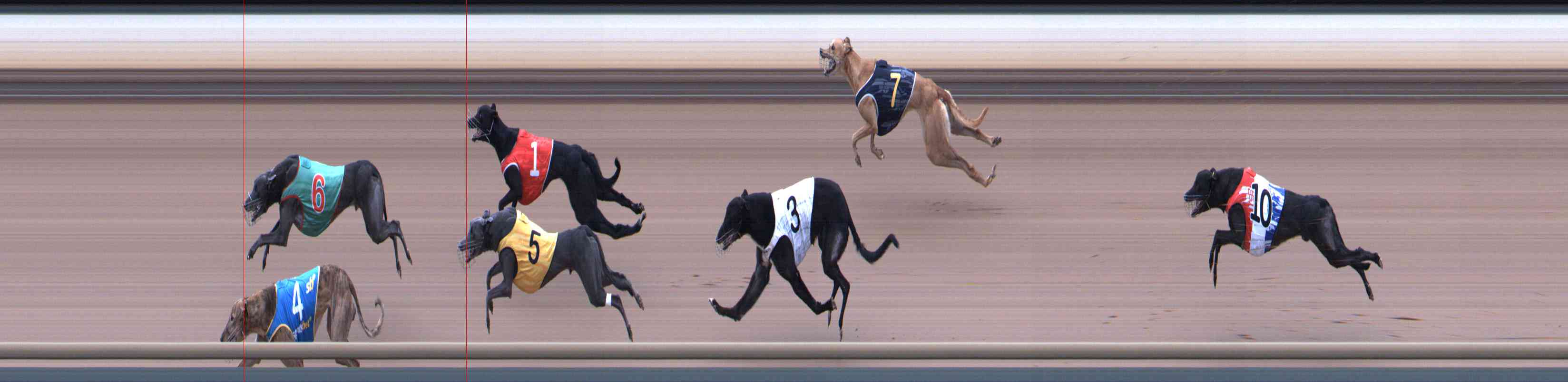 Photo finish for Healesville Race 12