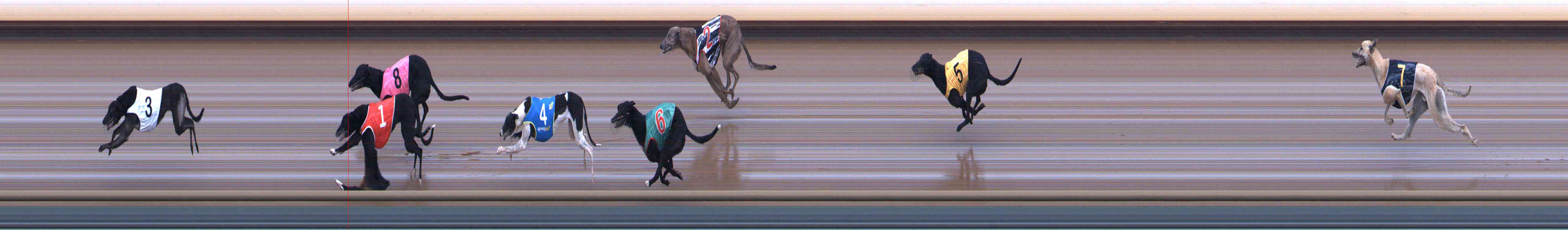 Photo finish for Healesville Race 1