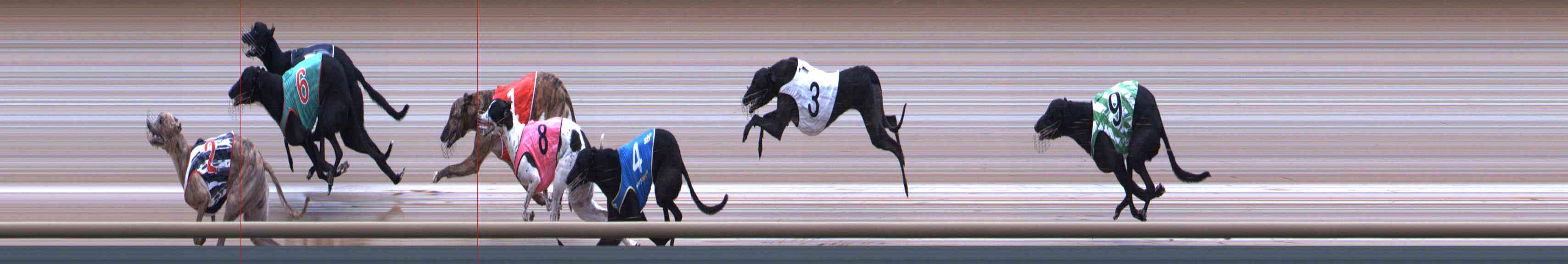 Photo finish for Healesville Race 2