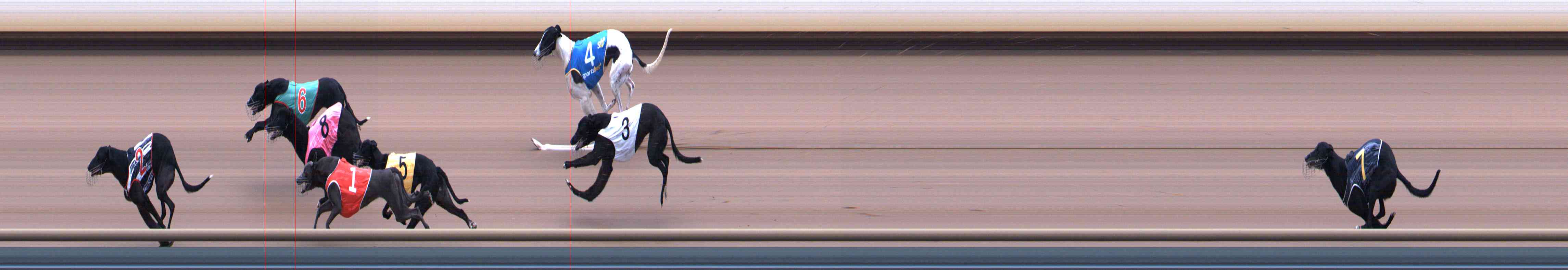 Photo finish for Healesville Race 3