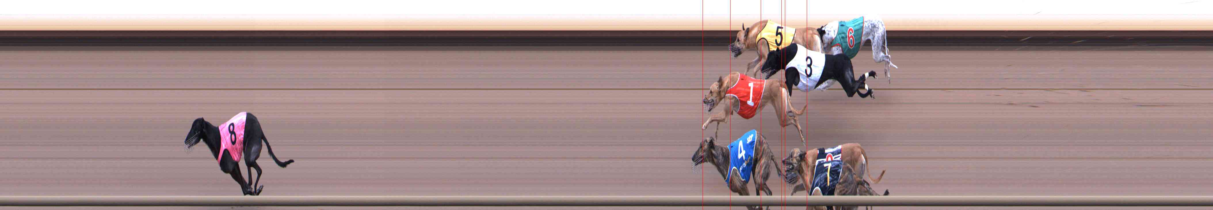 Photo finish for Healesville Race 4