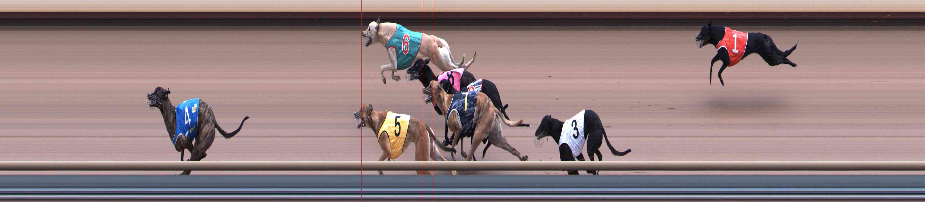 Photo finish for Healesville Race 5