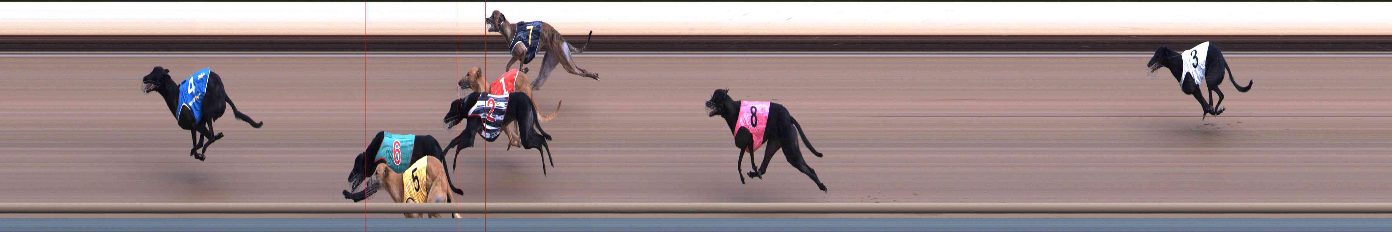 Photo finish for Healesville Race 6