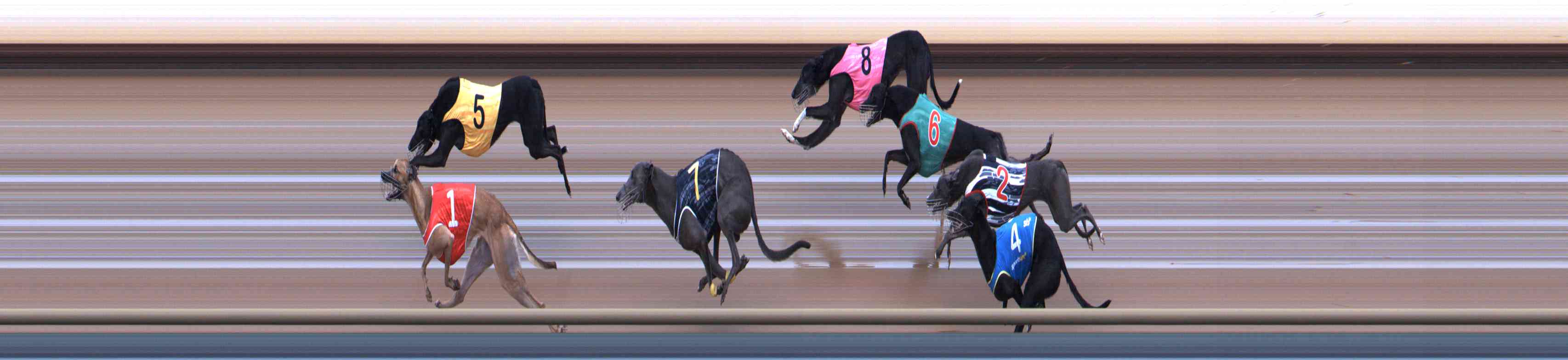 Photo finish for Healesville Race 7