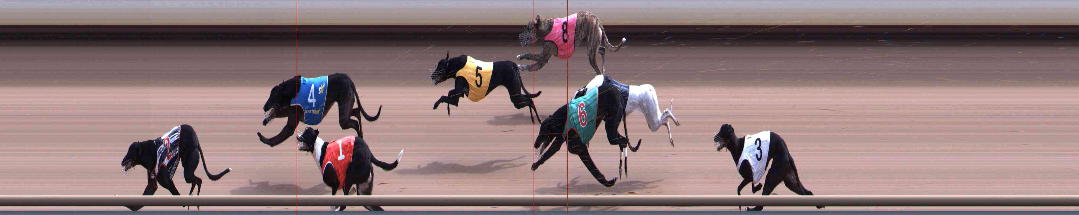 Photo finish for Healesville Race 9