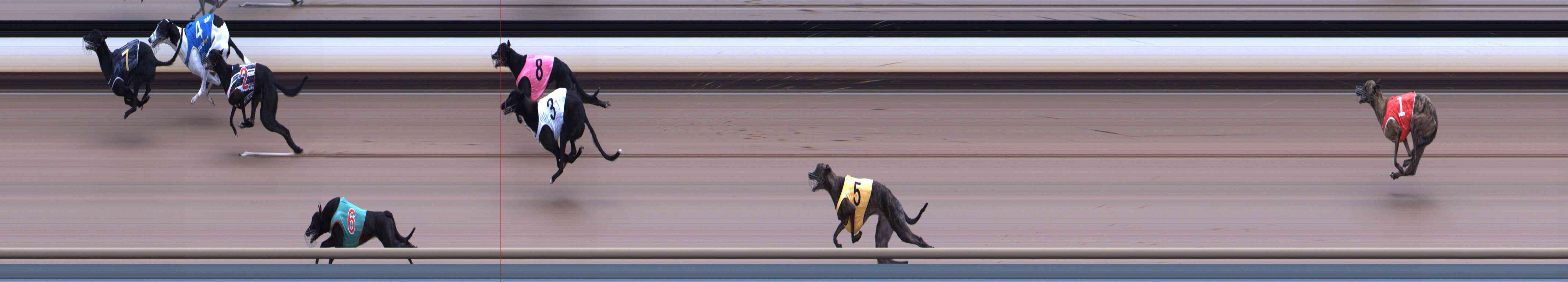 Photo finish for Healesville Race 10