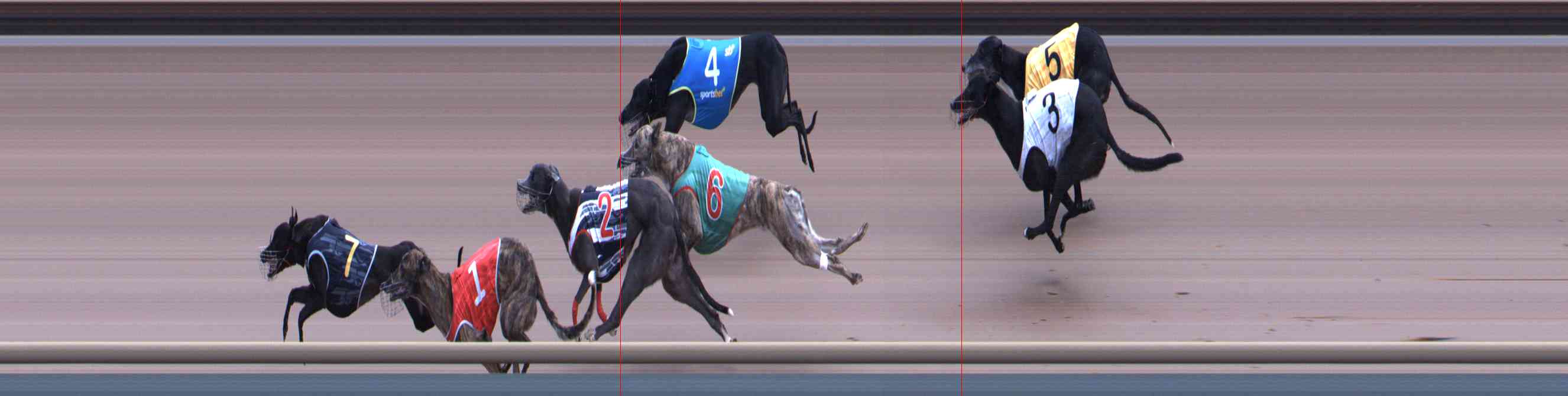 Photo finish for Healesville Race 11