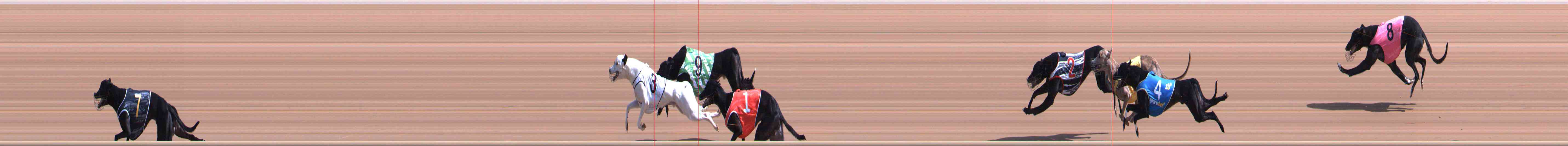 Photo finish for Healesville Race 1