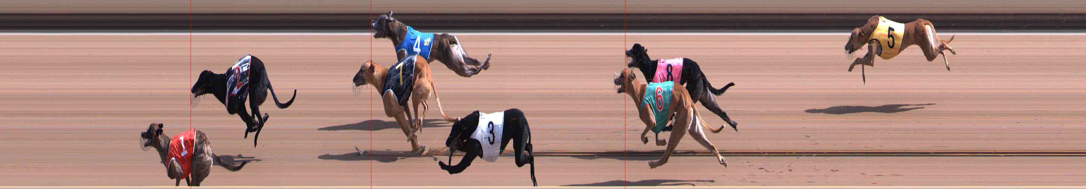 Photo finish for Healesville Race 2