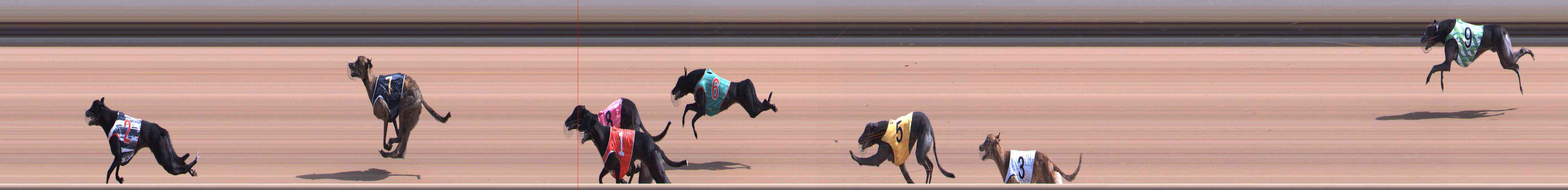 Photo finish for Healesville Race 3