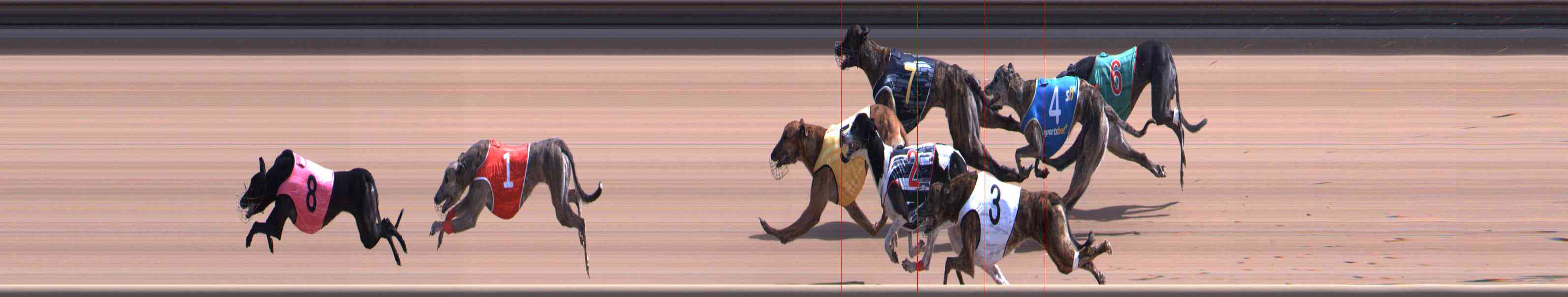 Photo finish for Healesville Race 4