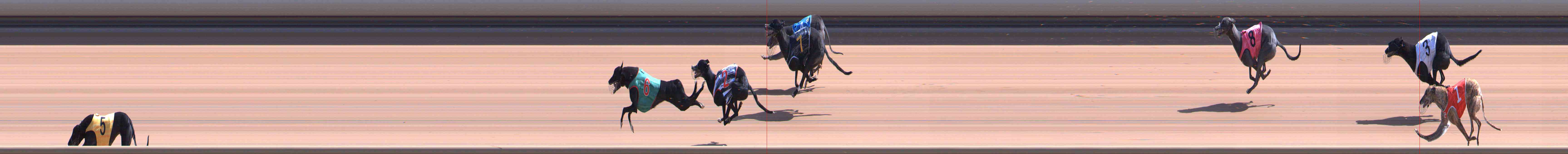 Photo finish for Healesville Race 5