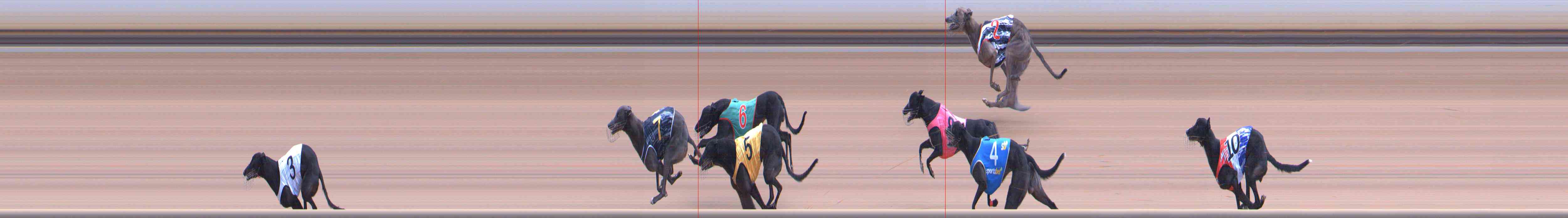 Photo finish for Healesville Race 6