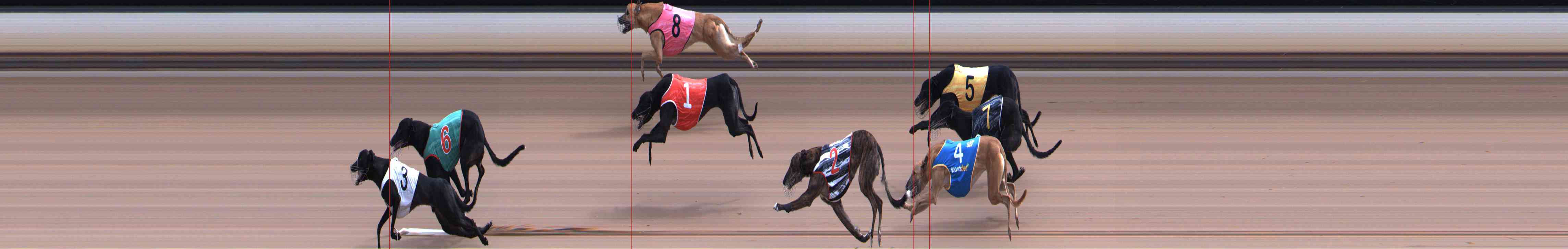 Photo finish for Healesville Race 7