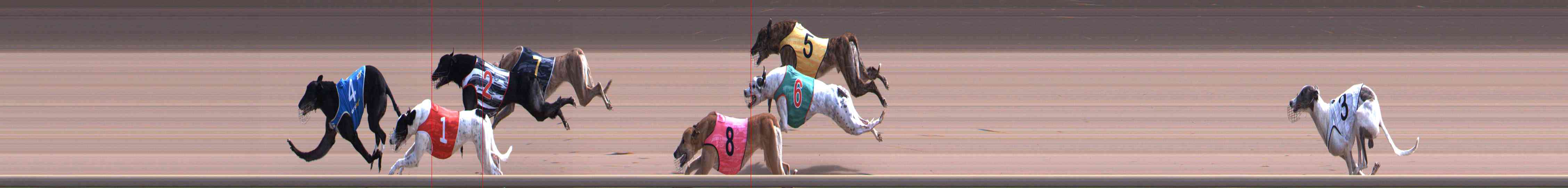 Photo finish for Healesville Race 8
