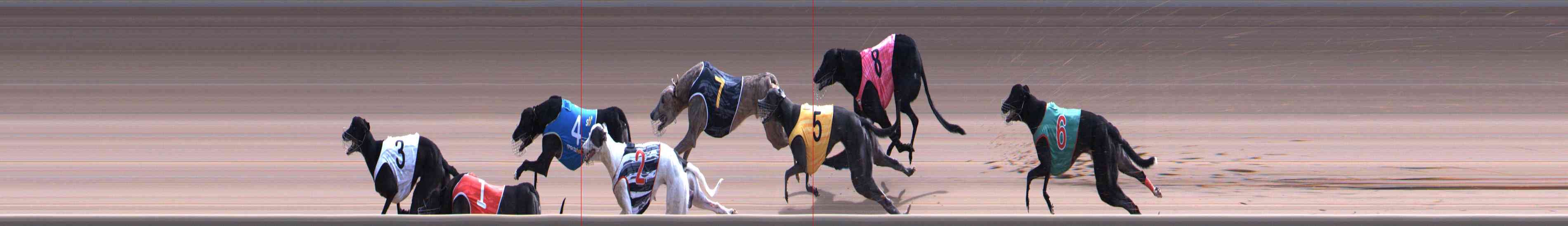 Photo finish for Healesville Race 10