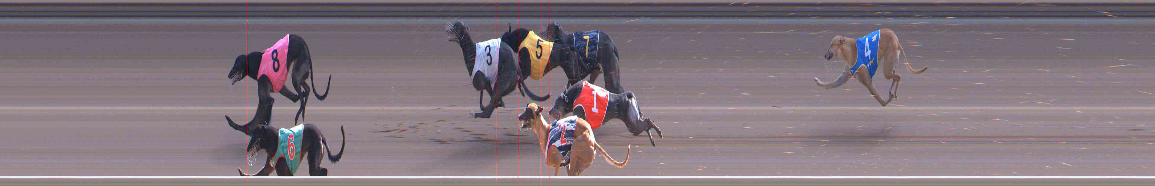 Photo finish for Healesville Race 11