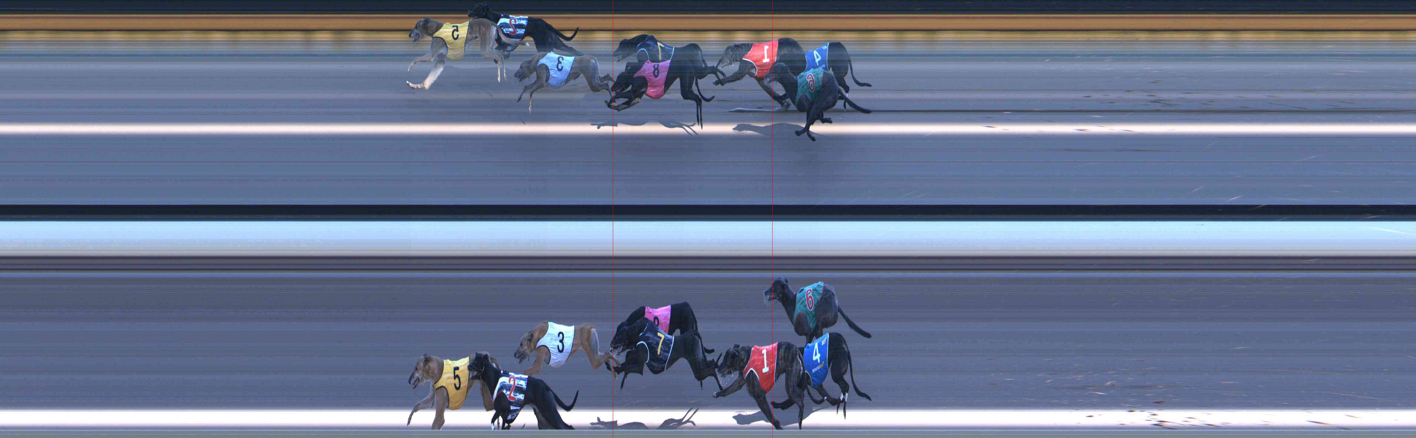 Photo finish for Healesville Race 12