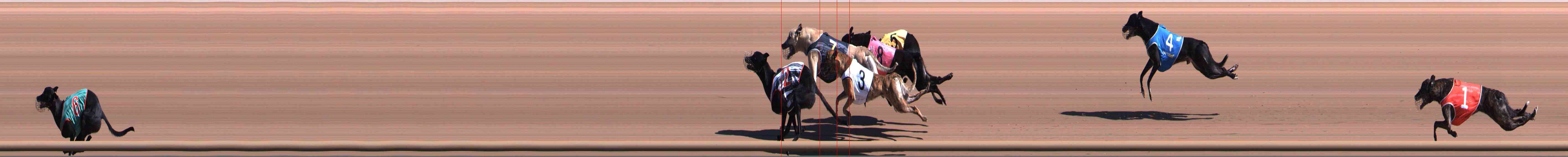 Photo finish for Healesville Race 1