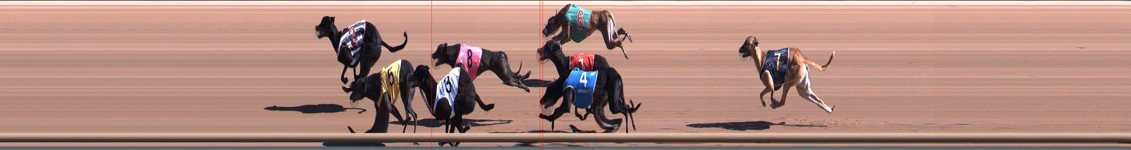 Photo finish for Healesville Race 2
