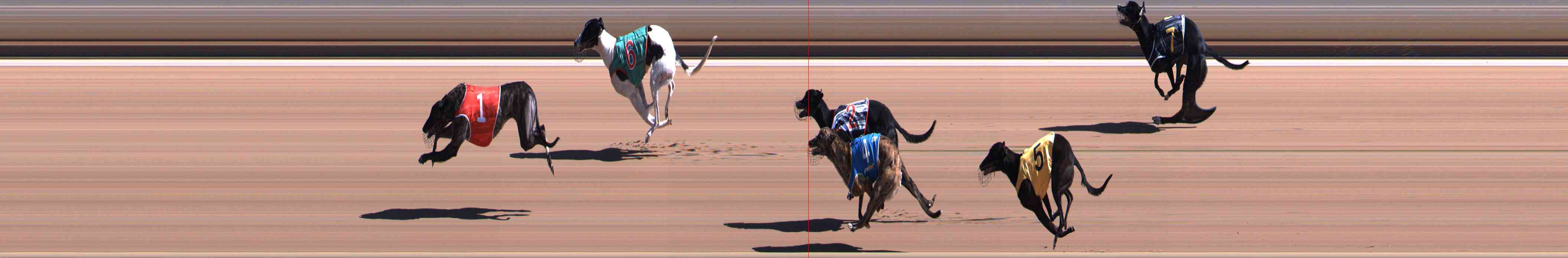 Photo finish for Healesville Race 3